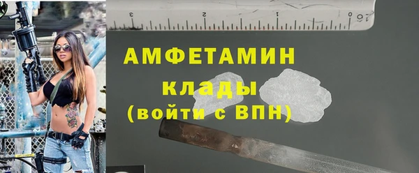 МДПВ Вяземский
