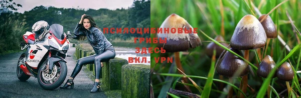 метадон Богородицк