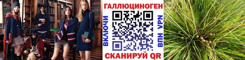 Псилоцибиновые грибы MAGIC MUSHROOMS  Купить где  Почеп 